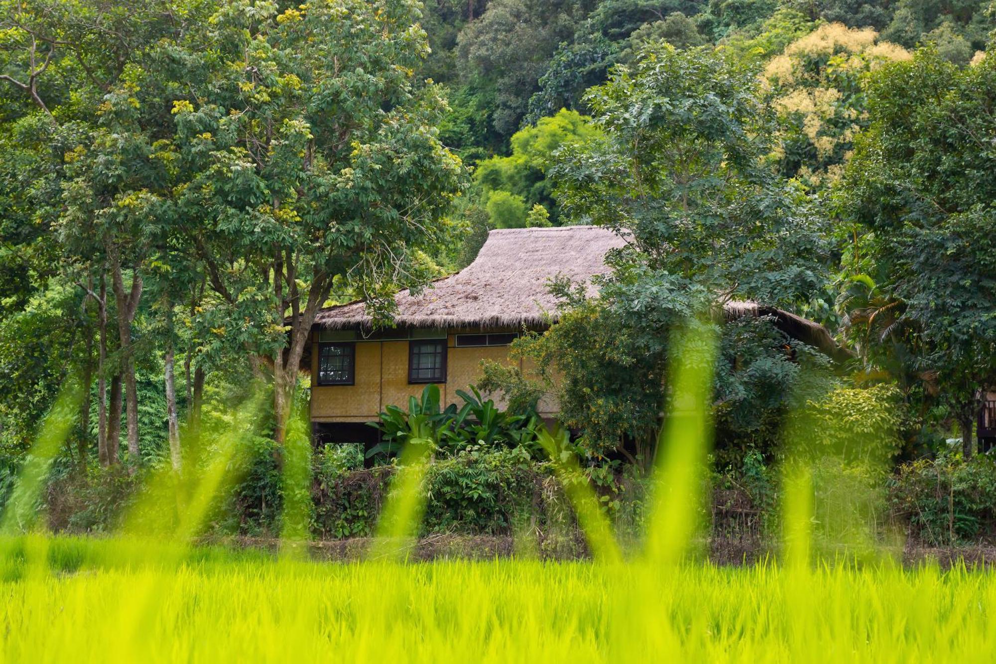 Hmong Hilltribe Lodge Mae Rim Exterior photo